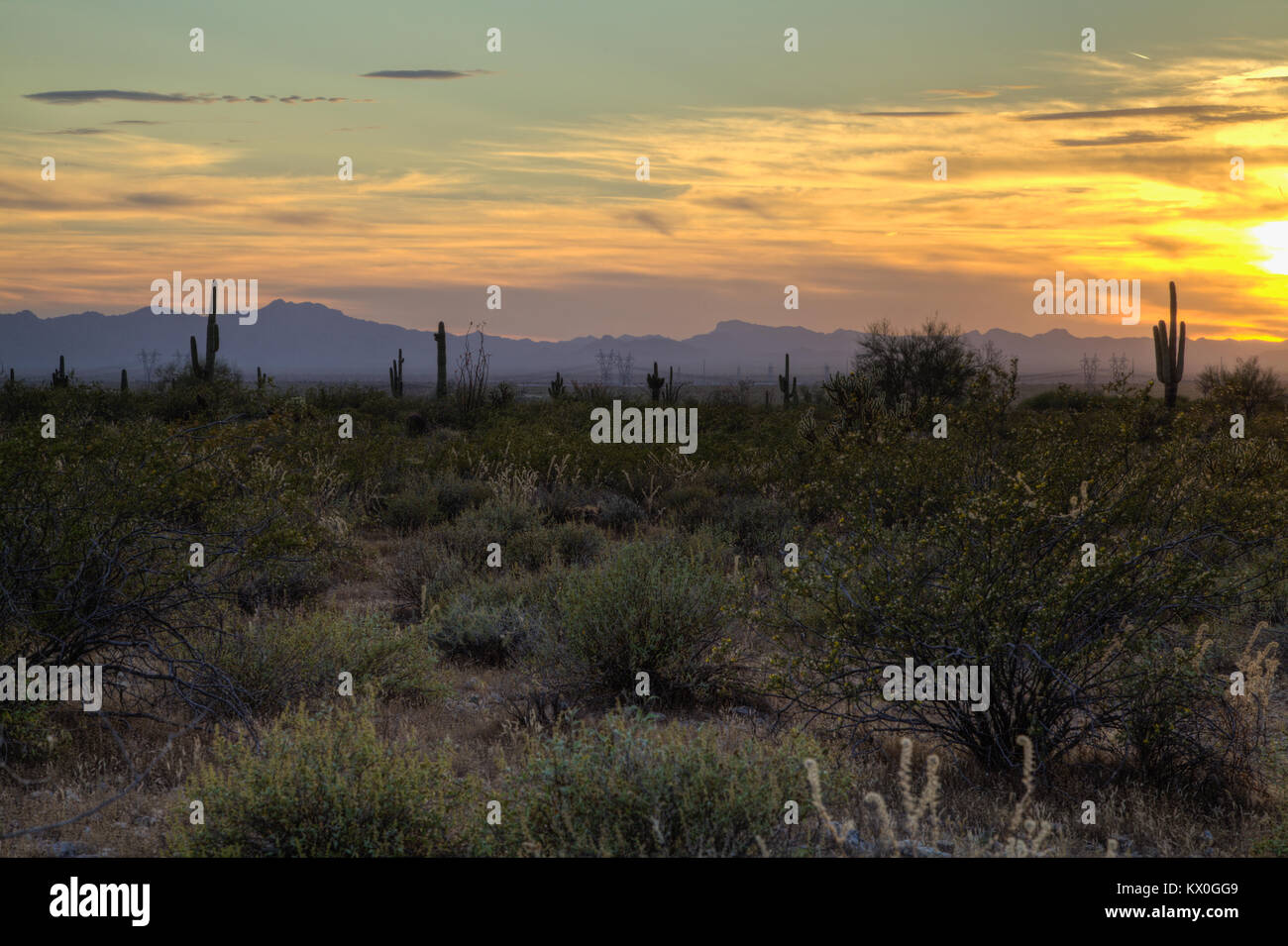 Sunset in sonoran desert hi-res stock photography and images - Alamy