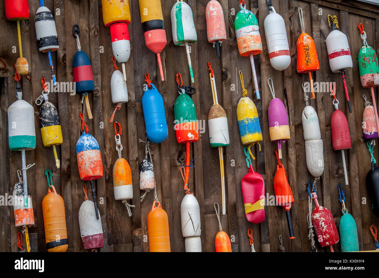 Lobster trap buoys in a New England harbor in Maine, USA Stock Photo - Alamy