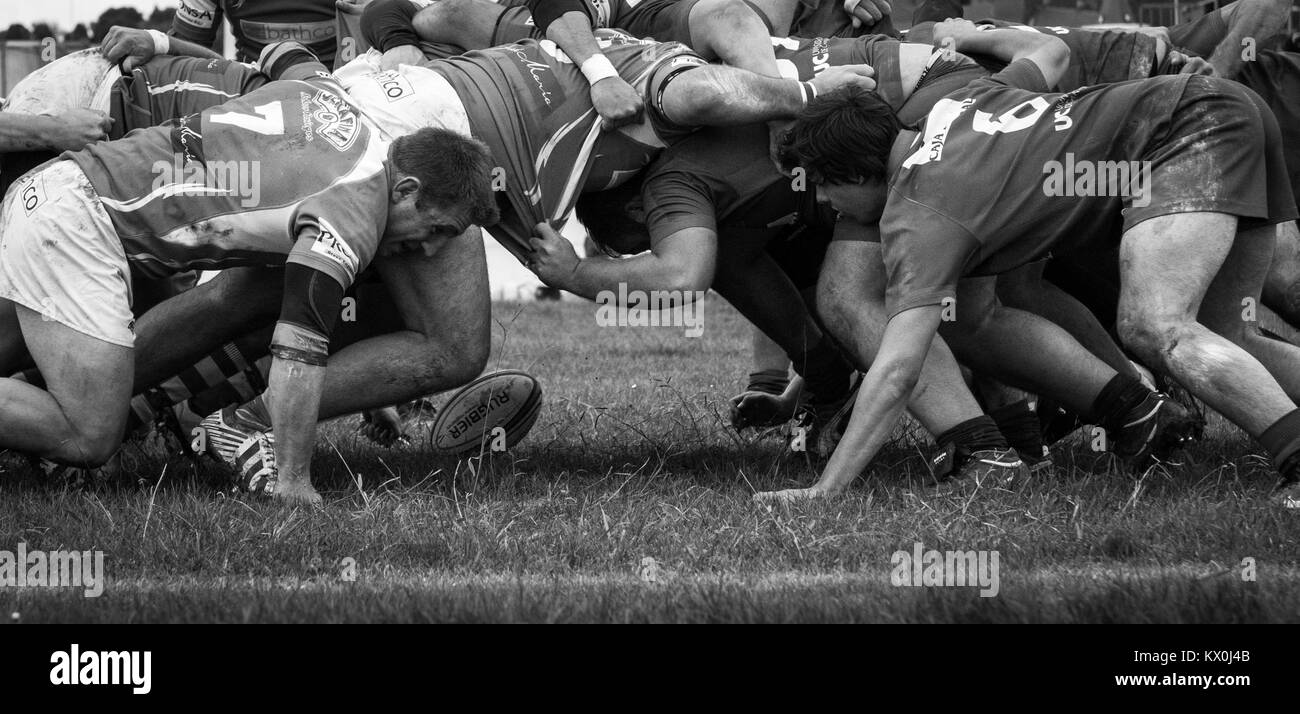 Rugby scrum Stock Photo