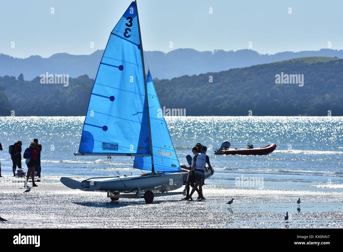 Laser class sailing dinghy with blue sails getting ready for race Stock