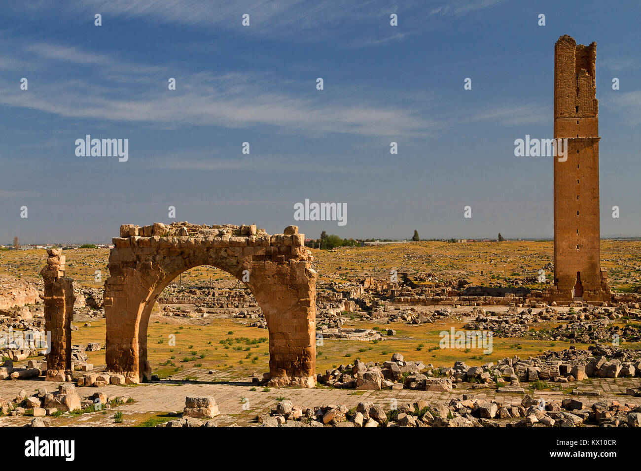 Ruins of the ancient city of Harran in upper mesopotamia, near the province of Sanliurfa in Turkey. Stock Photo