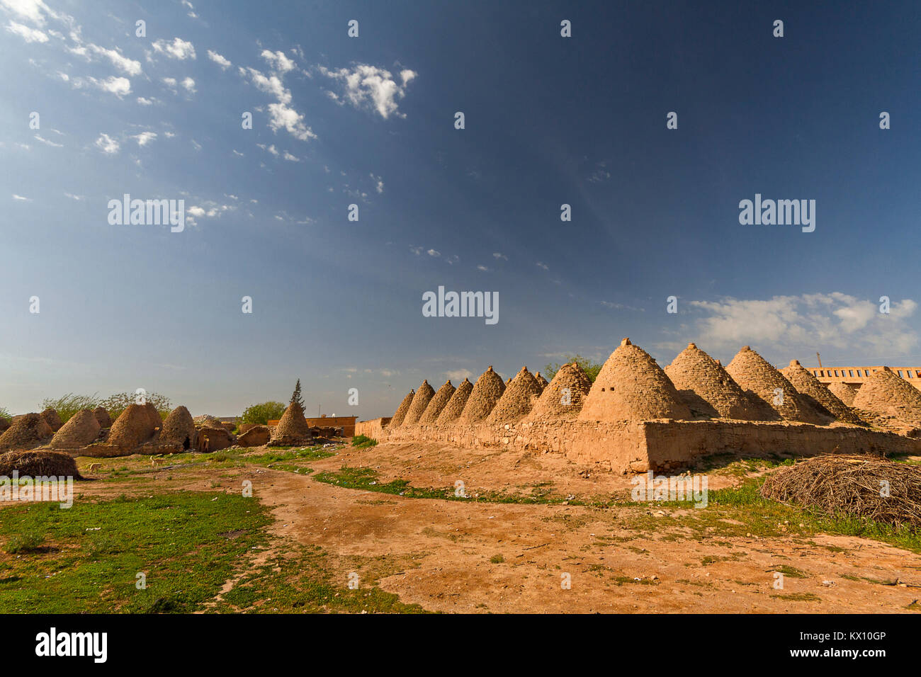 Domed adobe houses in the town of Harran, near Sanliurfa, Turkey. Stock Photo