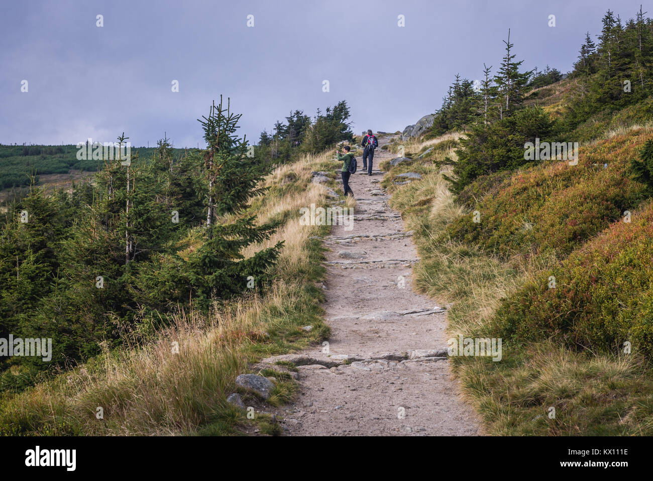 Tourist trail from Pec pod Snezkou to Sniezka Mountain in Karkonosze mountain range in Sudetes, on the border of Czech Republic and Poland Stock Photo