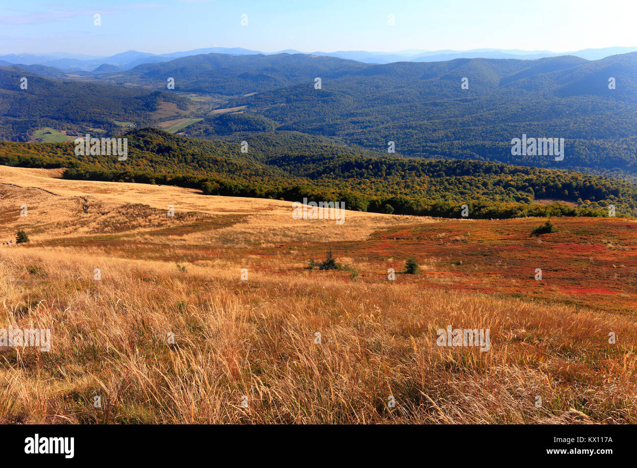 Wooded slopes of the Wolosatka Valley and Uzanski National Park in Bieszczady Mountains in South East Poland Stock Photo