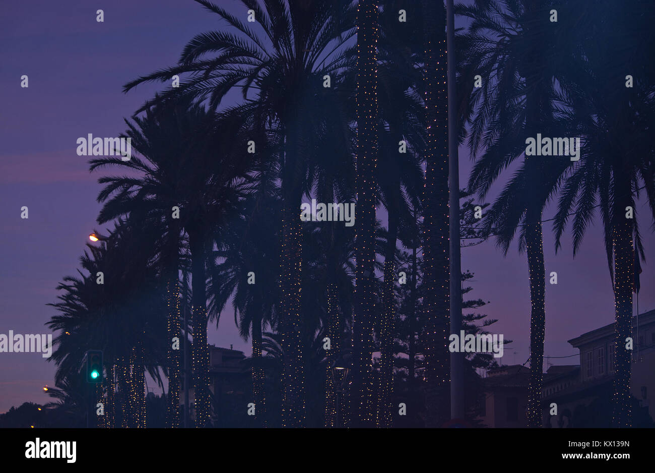 Christmas light decorated palm trees on Paseo Maritimo at winter dusk in Palma de Mallorca