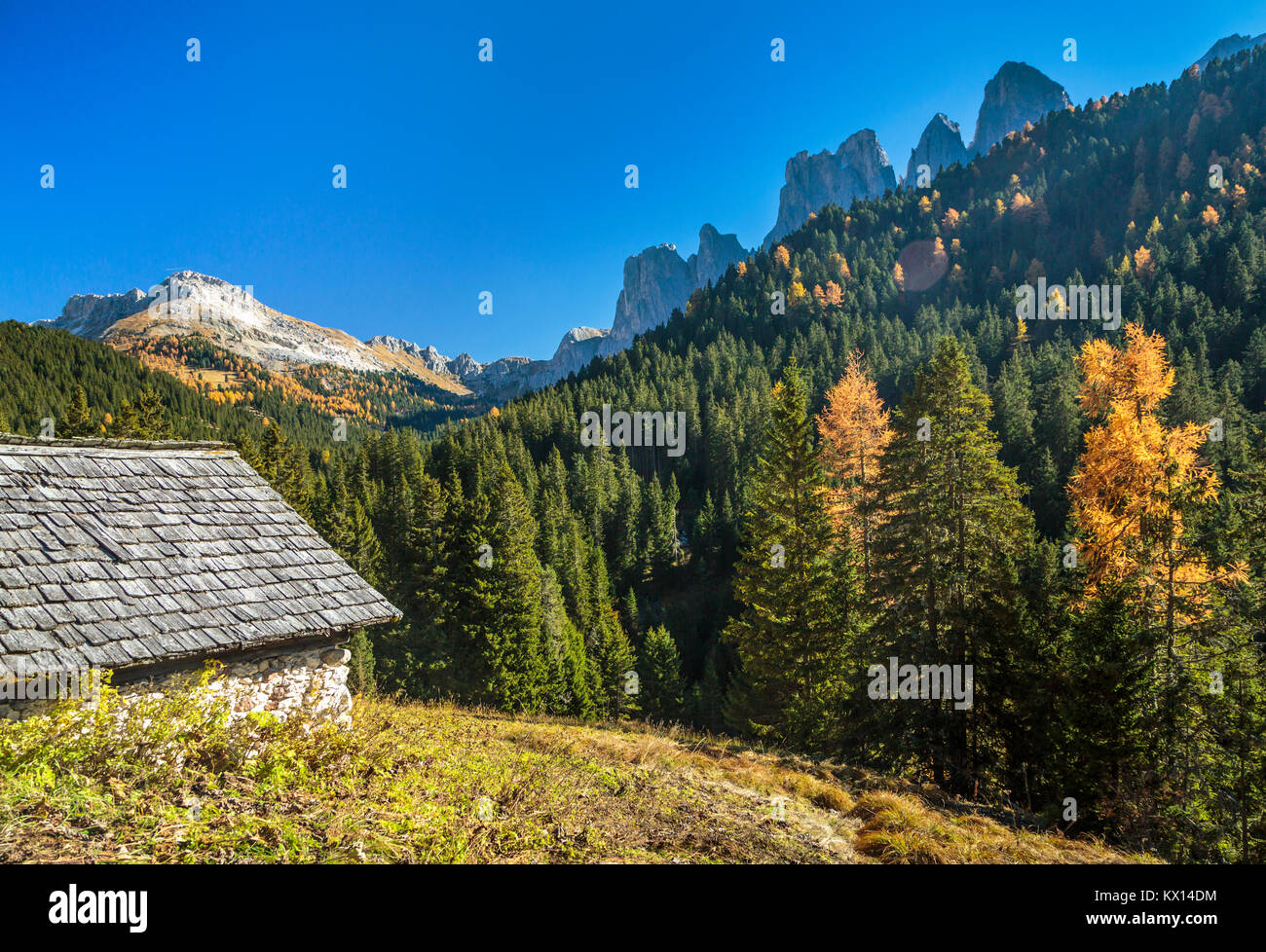 The Val di Funes Valley and fall foliage in the mountains near the village of Santa Maddalena with views of the Dolomites, South Tyrol, Italy, Europe. Stock Photo