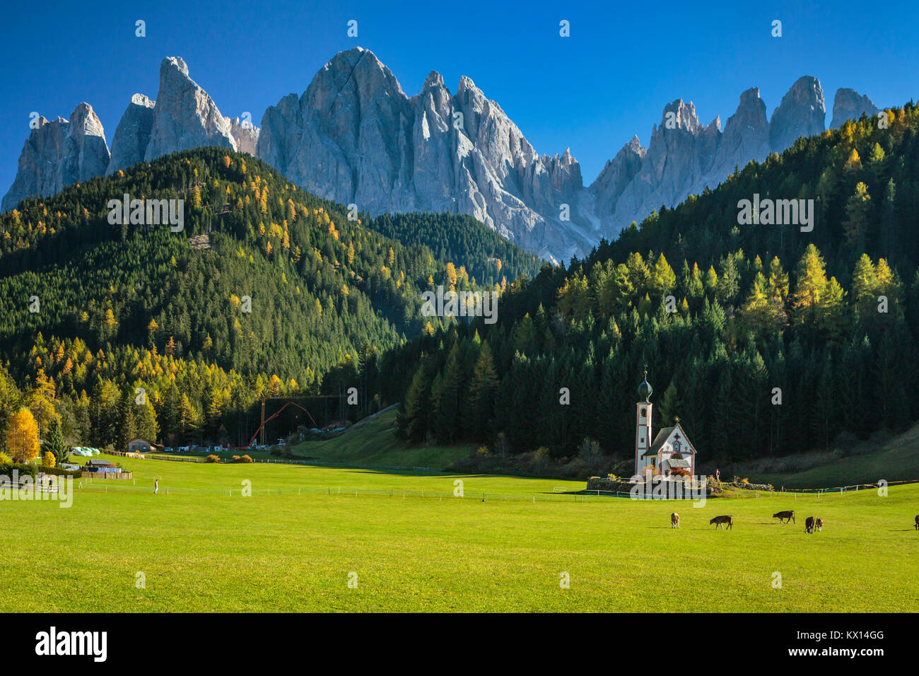 The Val di Funes Valley and San Giovanni church with views of the Dolomites, South Tyrol, Italy, Europe. Stock Photo