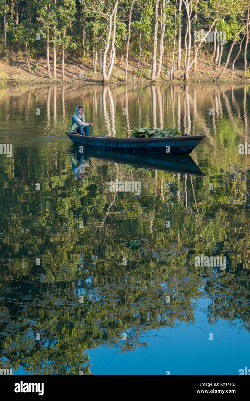 Man paddling wooden canoe on Bis Hazari lake in the Chitwan National Park buffer zone, Nepal