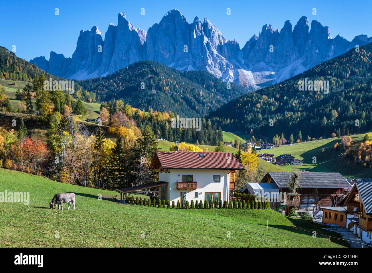 The Val di Funes Valley and village of Santa Maddalena with views of the Dolomites, South Tyrol, Italy, Europe. Stock Photo