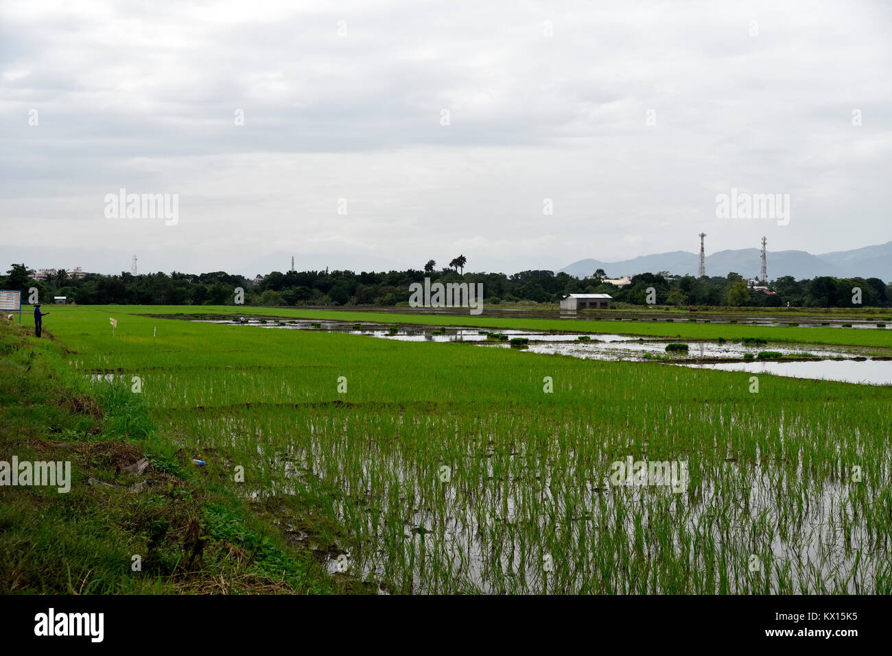 Santiago City, Isabela, Philippines, December 15, 2017, Santiago City