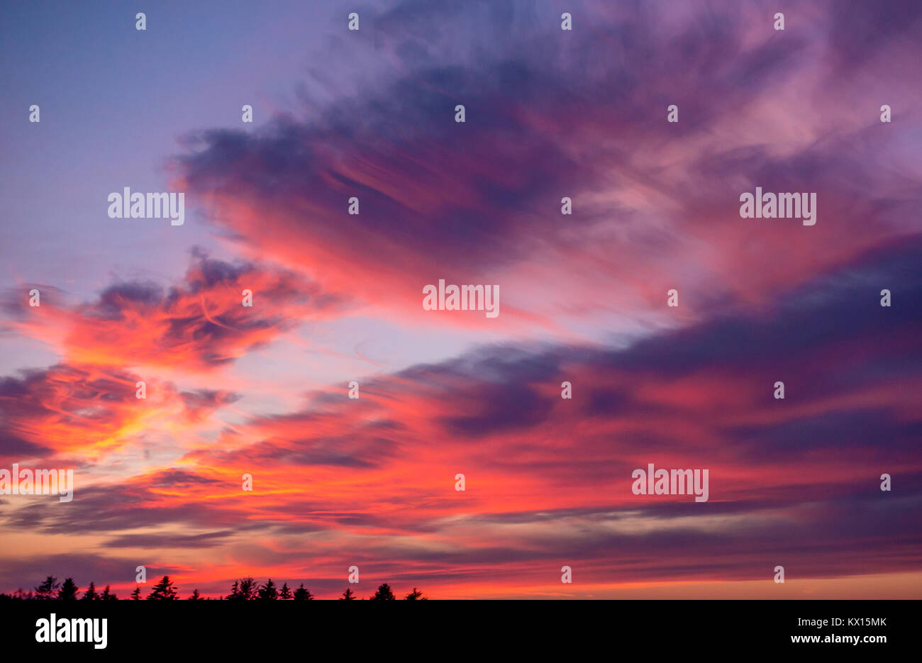 Pink clouds at a sunset Stock Photo - Alamy