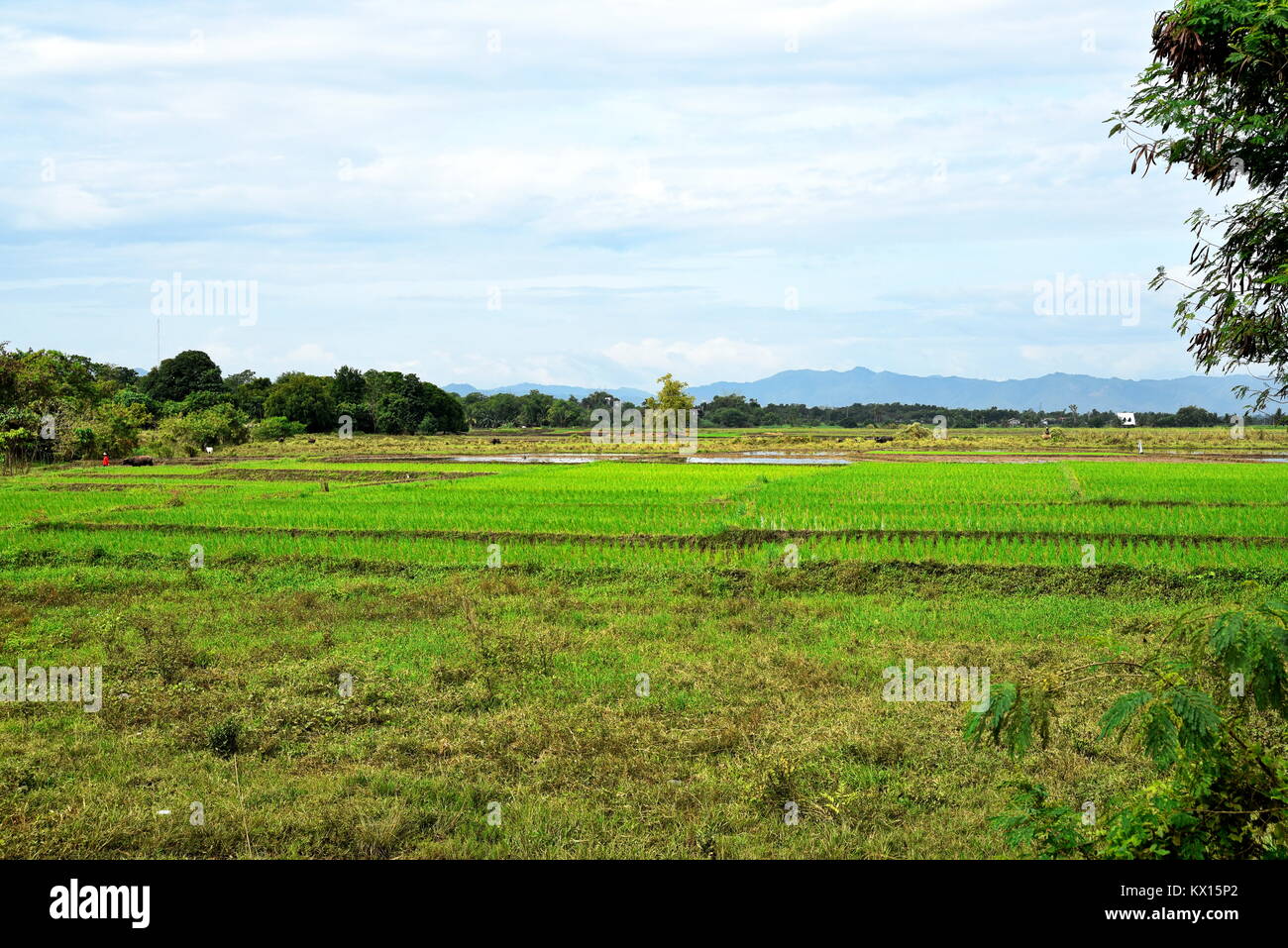 Santiago City, Isabela, Philippines, December 15, 2017, Santiago City