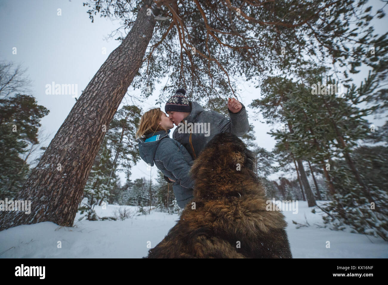 Young couple in love with dog walking in the snowy pine forest and ...
