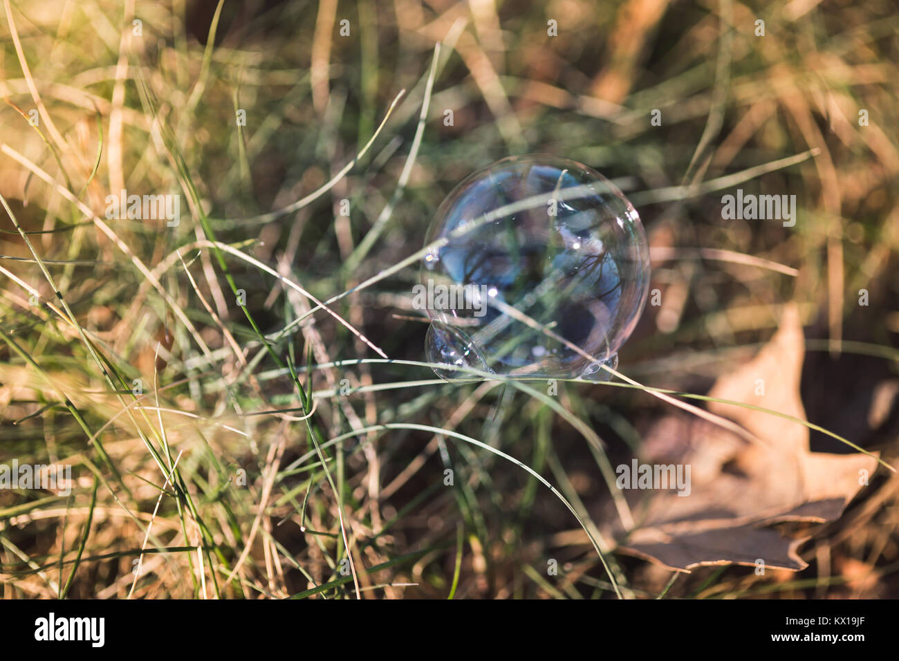 bubbles on ground Stock Photo Alamy