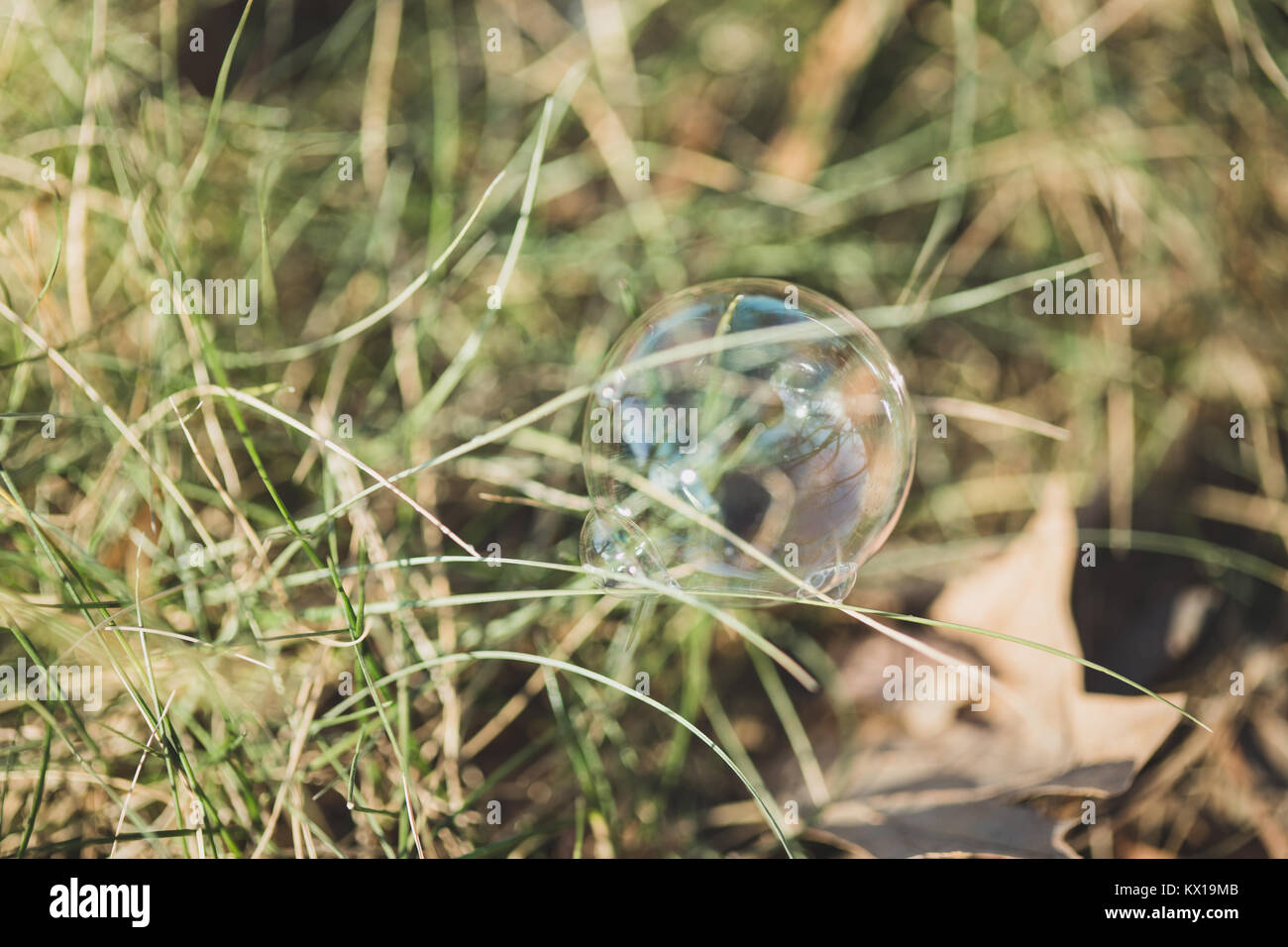 bubbles on ground Stock Photo Alamy