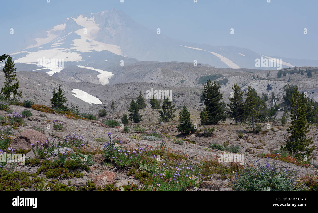 Mount Hood National Park under a smoky atmosphere, Oregon, United