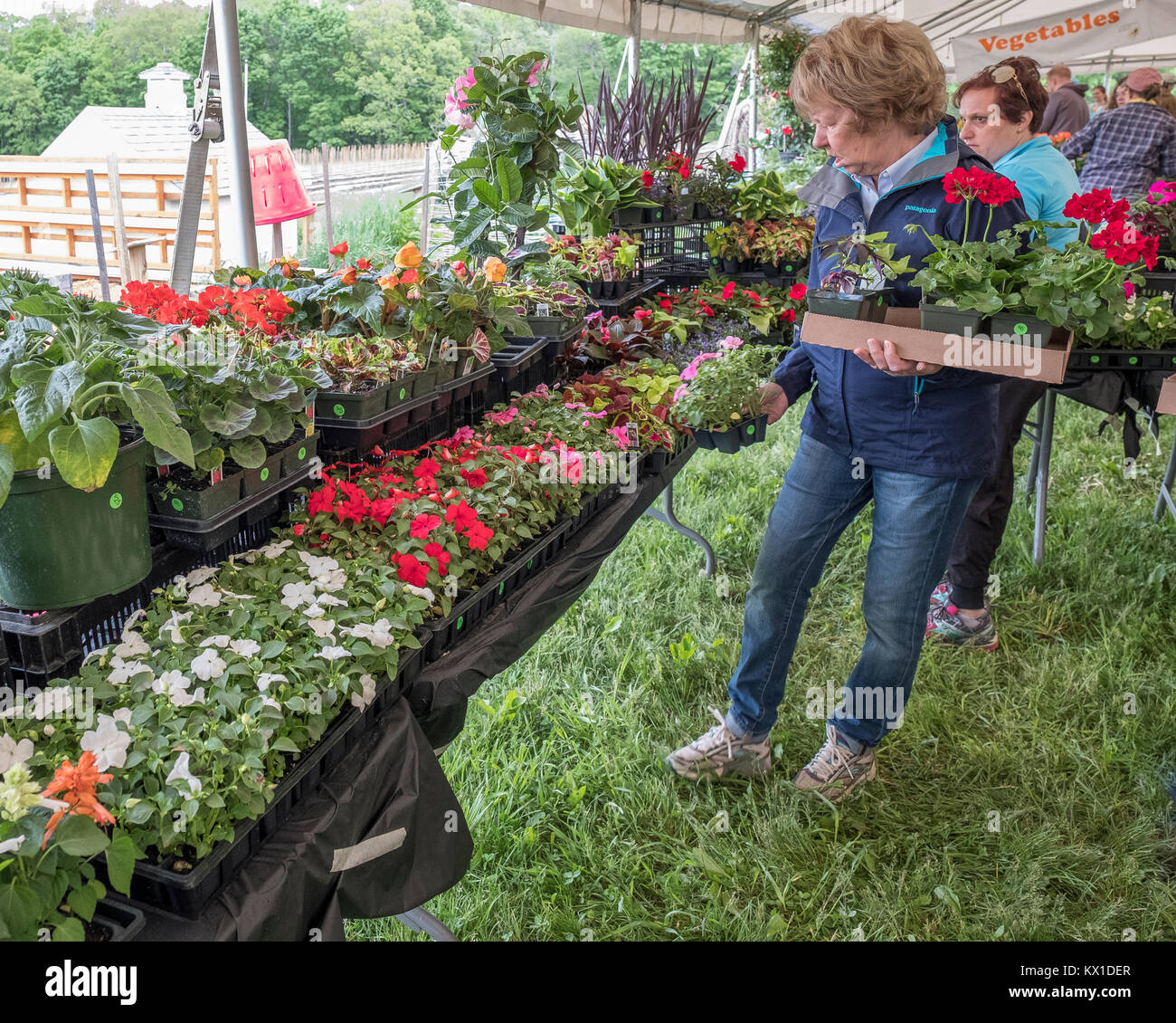 A woman with a box of flowers that she is buying Stock Photo