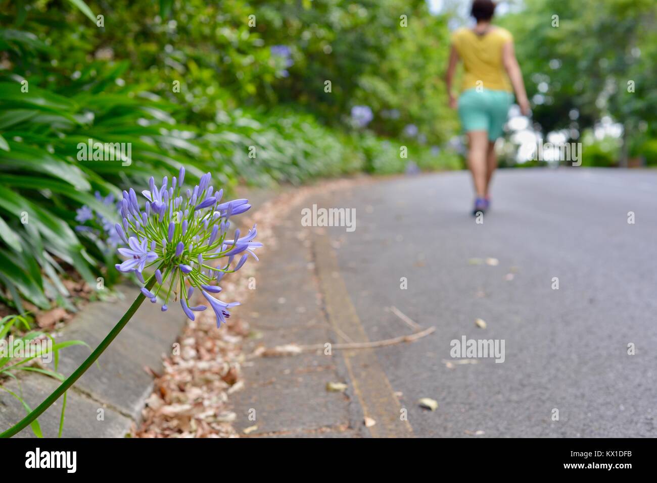 Young women walking, being fit and active, Sunshine Coast, Queensland, Australia Stock Photo