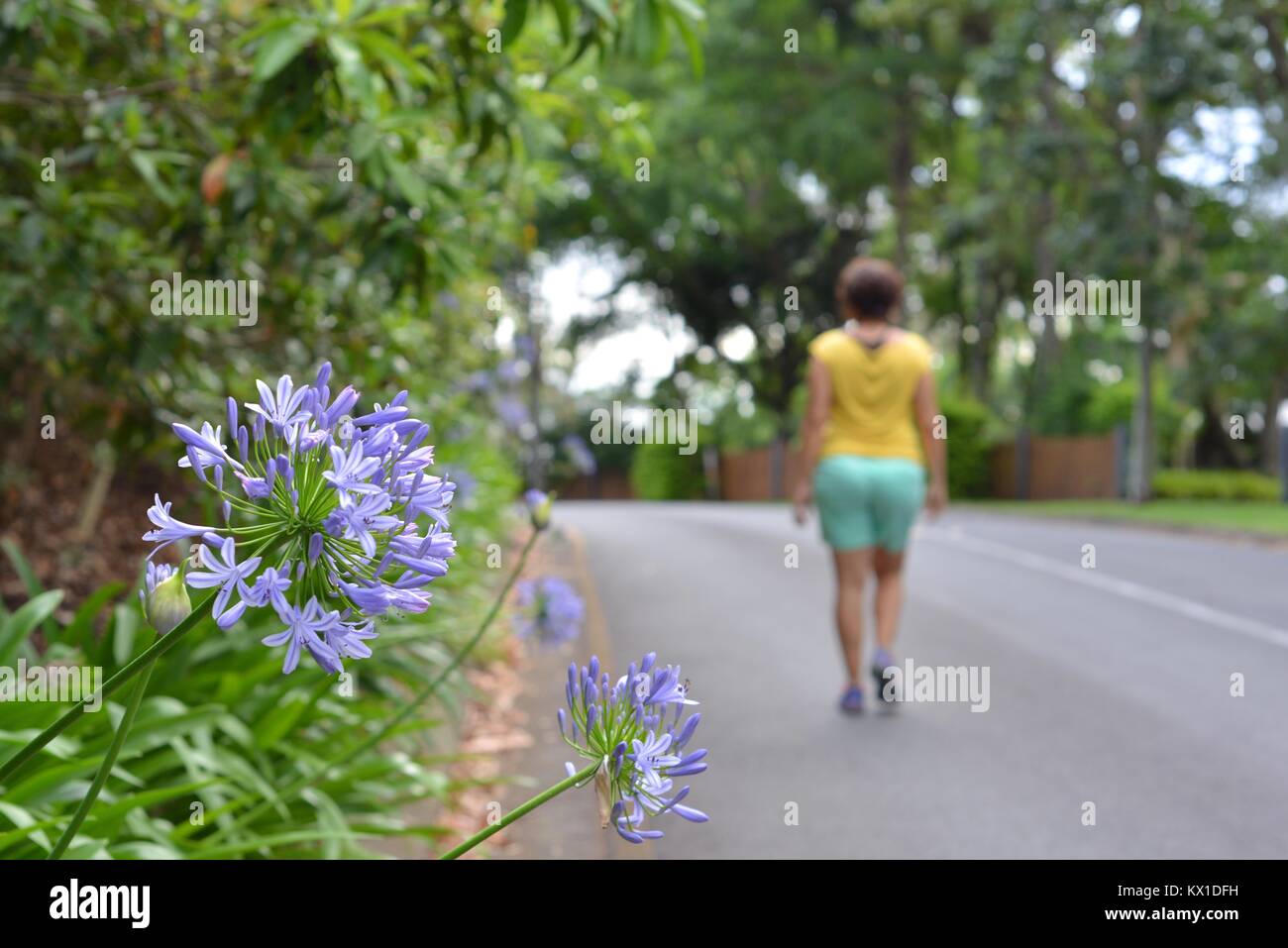 Young women walking, being fit and active, Sunshine Coast, Queensland, Australia Stock Photo