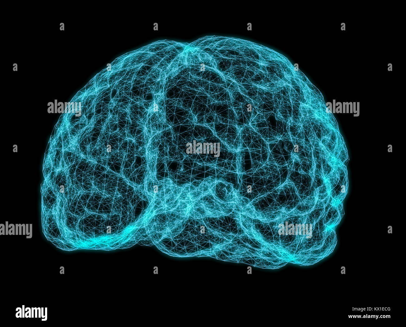 X-ray image of human brain Stock Photo - Alamy