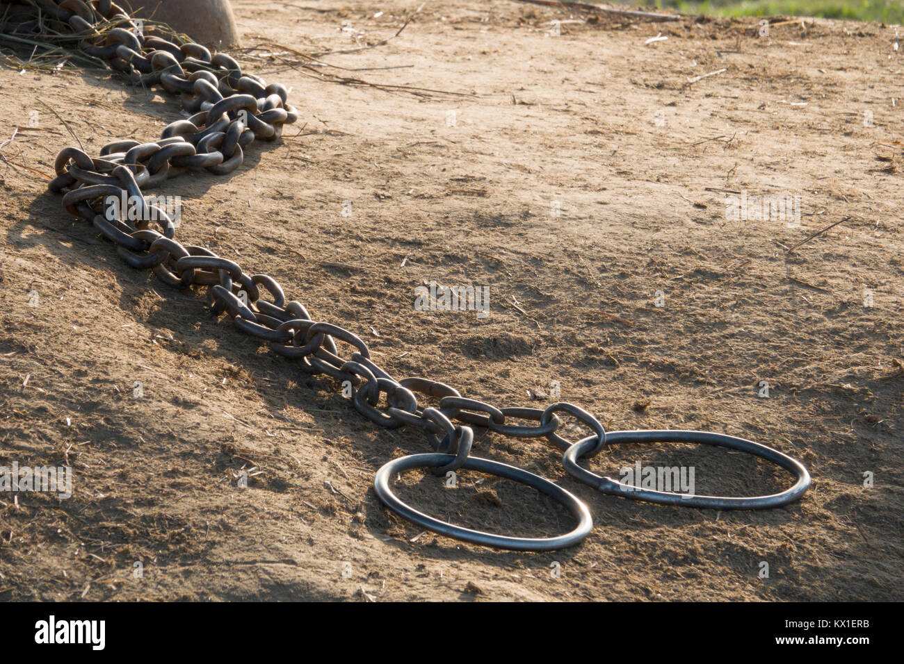 Elephant foot chains in Sauraha, Nepal Stock Photo