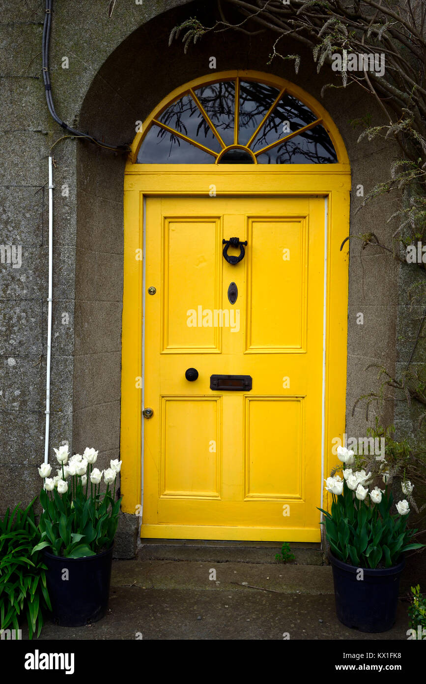 Yellow Front Door Tulipa Swan Stock Photo Alamy