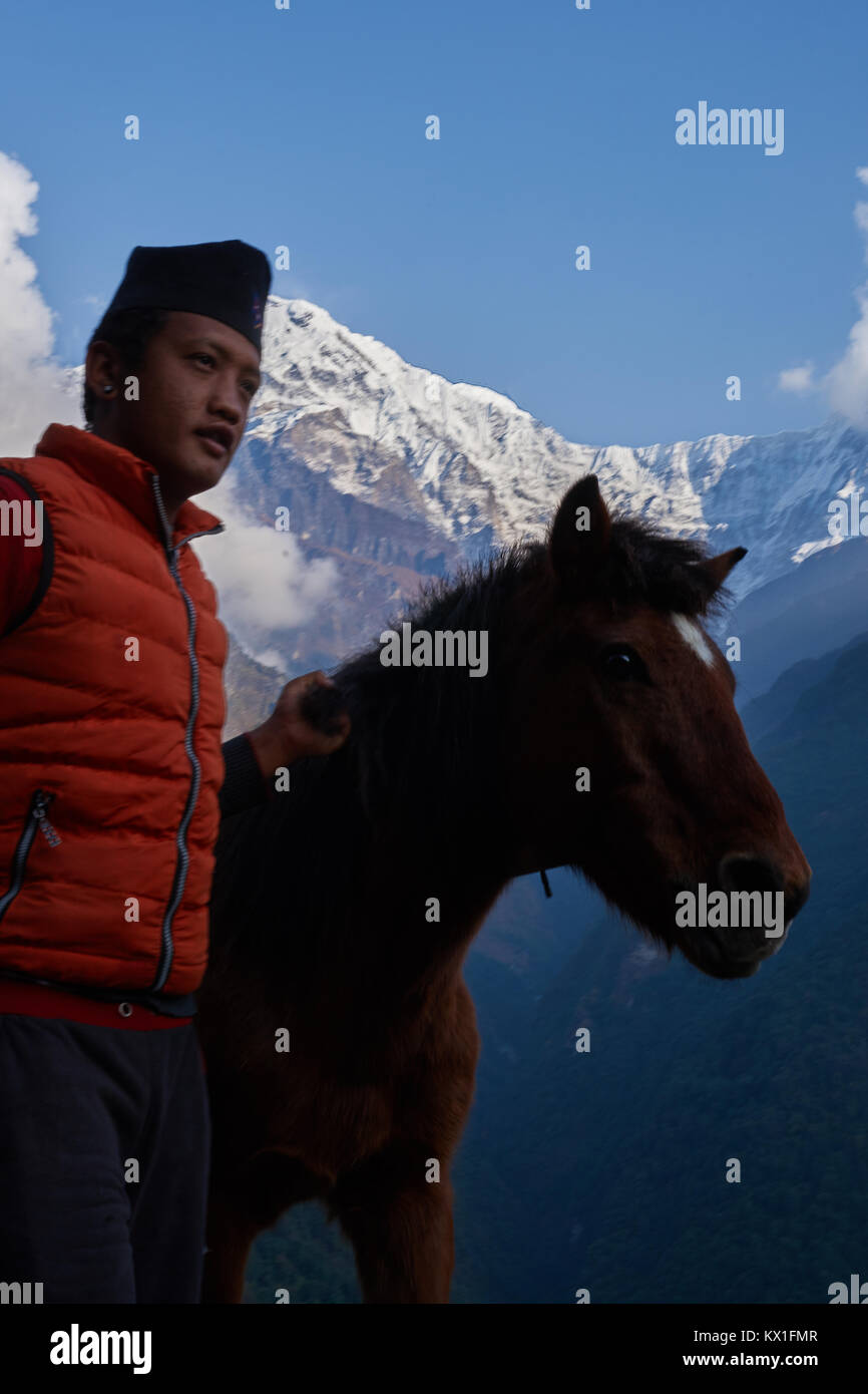 Nepali man leading horse in front of Annapurna South, Annapurna massif, Nepal Stock Photo