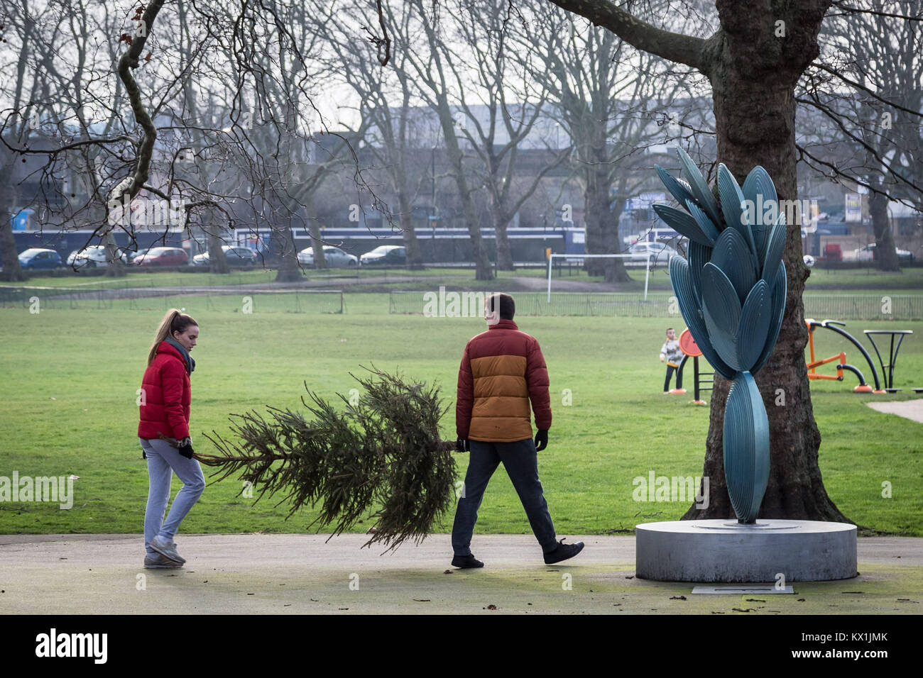 Council christmas tree recycling point hires stock photography and