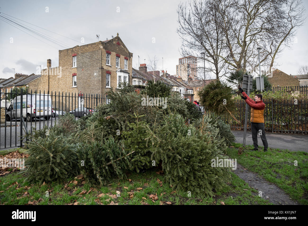 Council christmas tree recycling point hires stock photography and