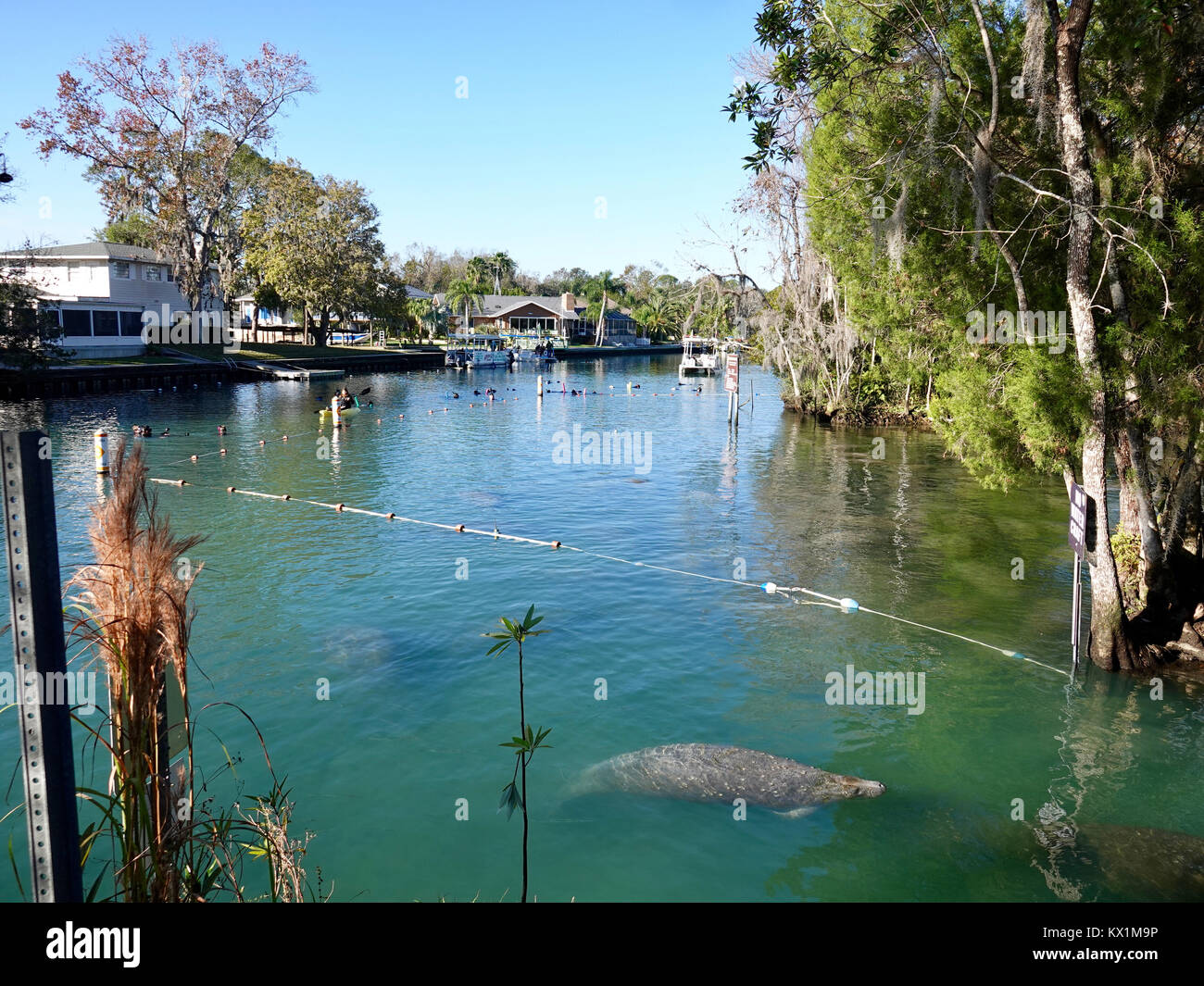Crystal River, Florida, USA, 06 January 2018. Frigid temperatures along