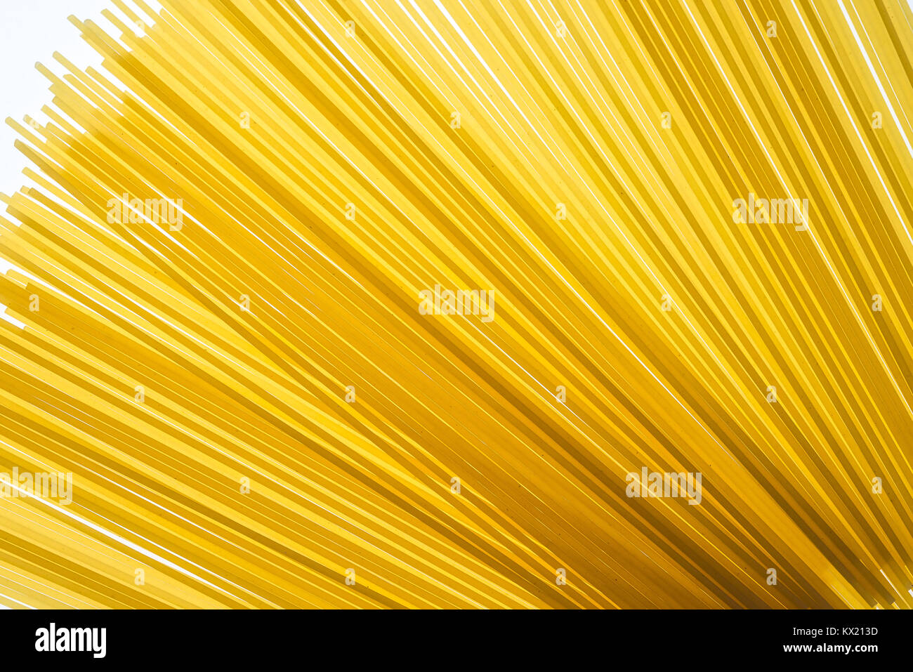 Raw spaghetti pasta Stock Photo