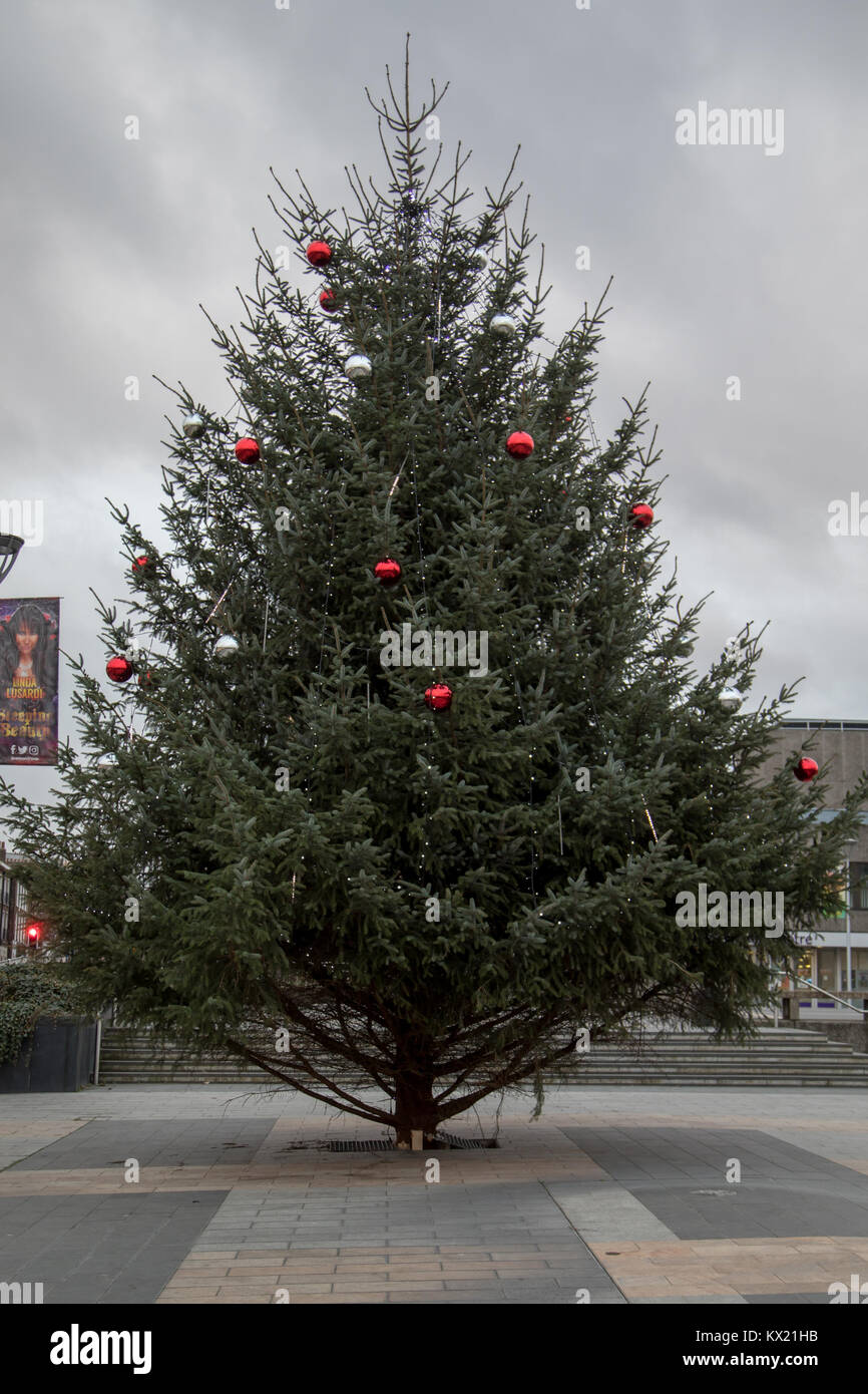The yearly Christmas tree at the front of the Gravesend civic centre is
