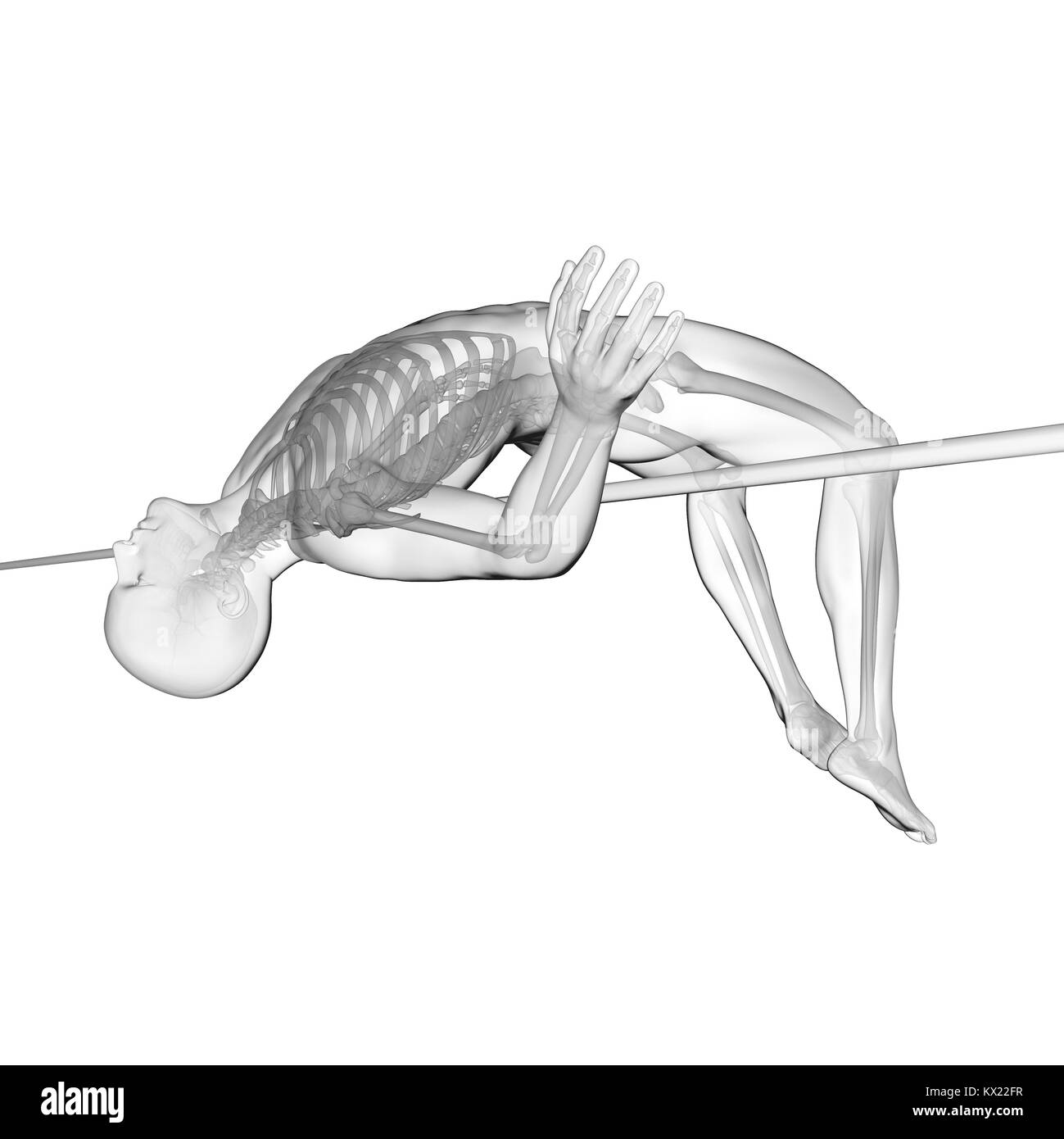 High jumper's skeletal system, illustration. Stock Photo