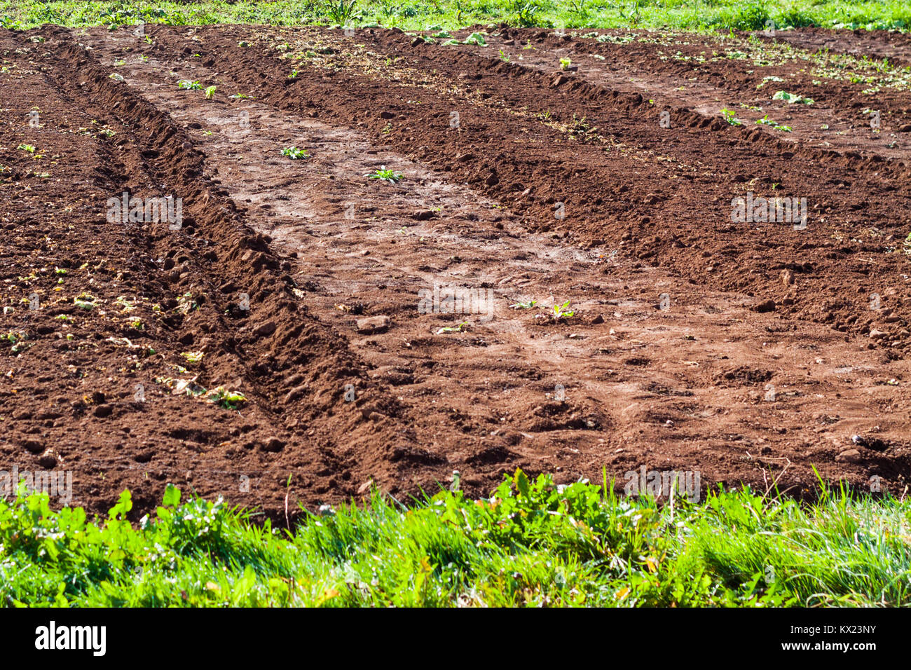 Green fertile land hires stock photography and images Alamy