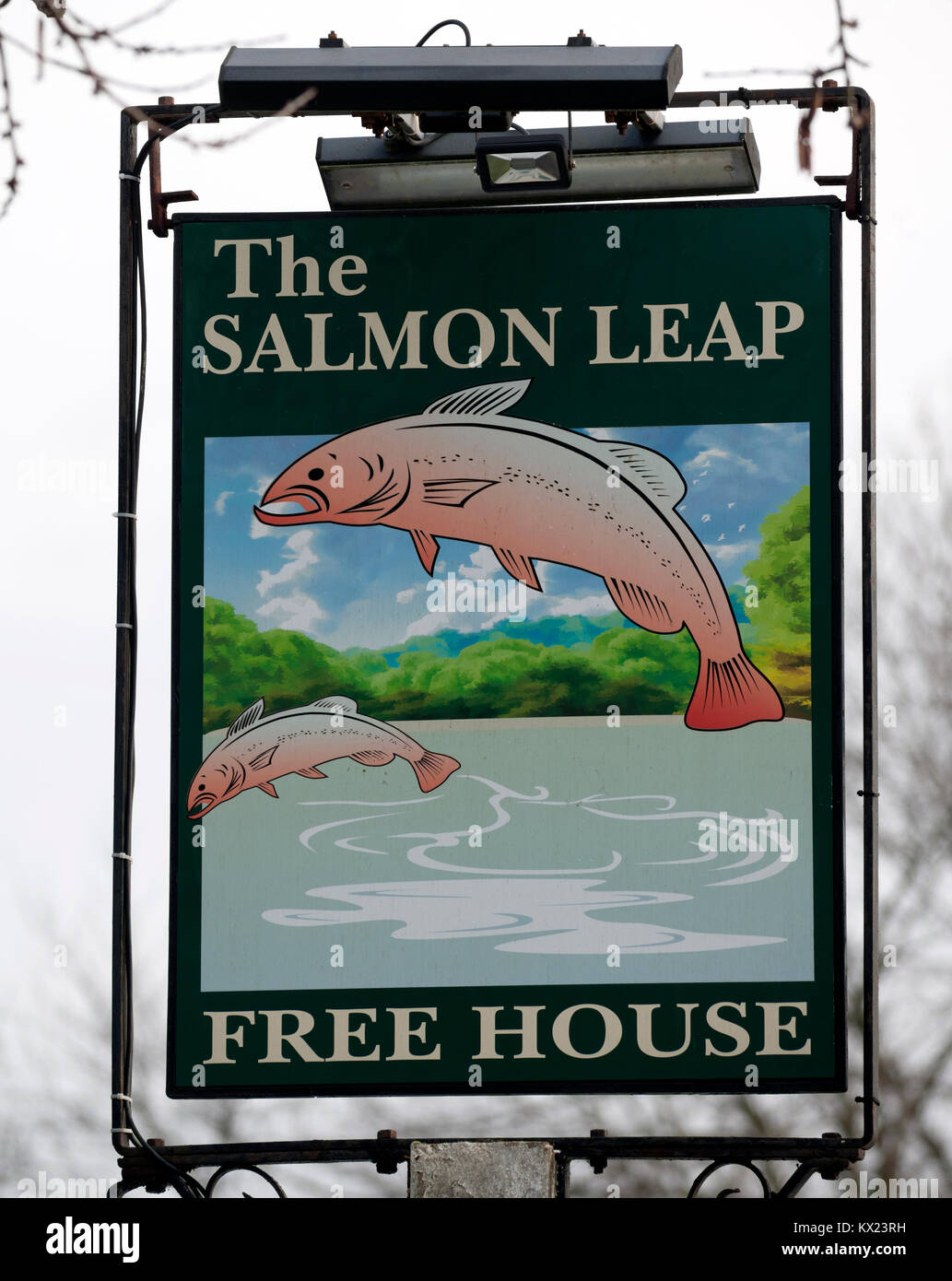 Hanging pub sign for The Salmon Leap Free House (public house) Testwood