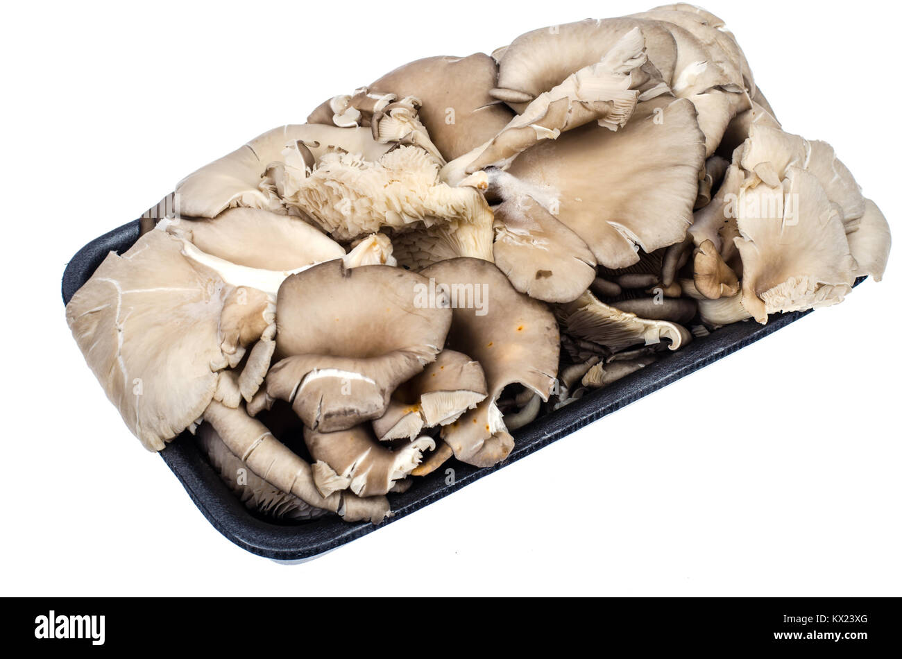Fresh oyster mushrooms in black package Stock Photo Alamy