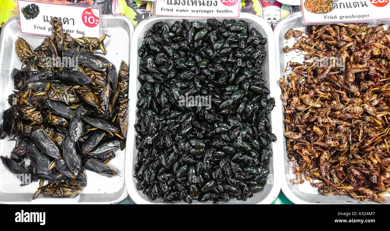 Thai street exotic food. Edible fried beetles, crickets Stock Photo Alamy