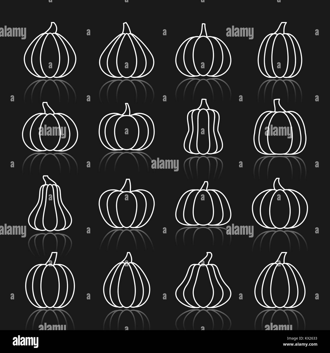 Pimpkin thin white line reflection icon set. Gourd vector linear symbol pack. Squash flat outline sign without fill. Simple pictogram graphic collecti Stock Vector