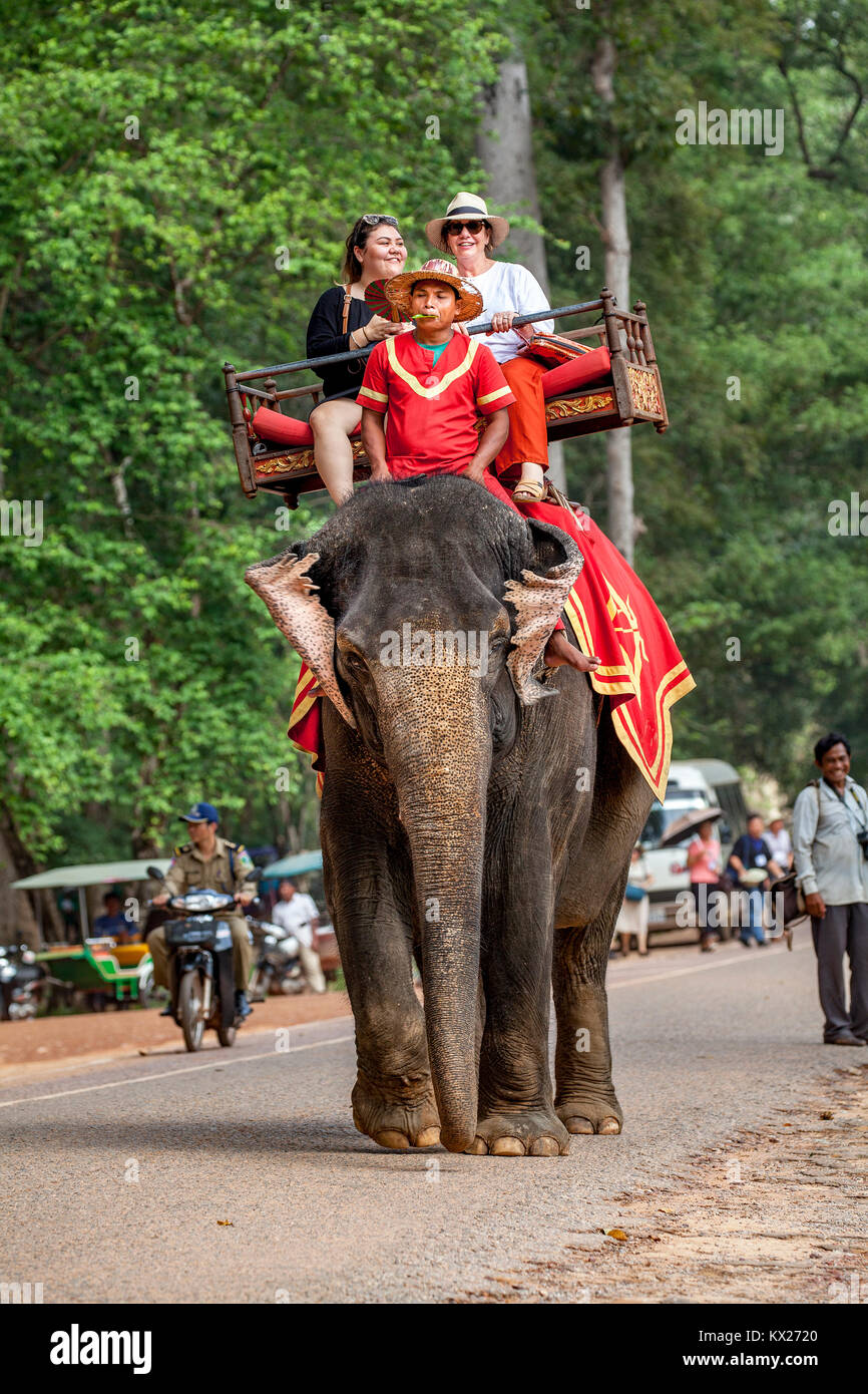 Tourists at Angkor Thom temple complex ride the back of an Indian or Asiatic elephant in Siem Reap, Cambodia. Stock Photo