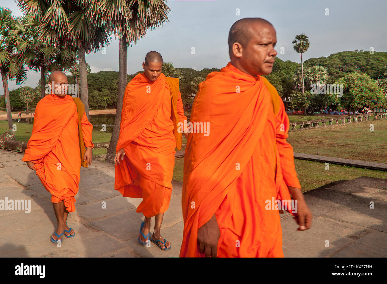 Three Buddhist monks dressed in traditional saffron silk robes walk the sandstone road leading into the Angkor Wat temple in Siem Reap, Cambodia. Stock Photo