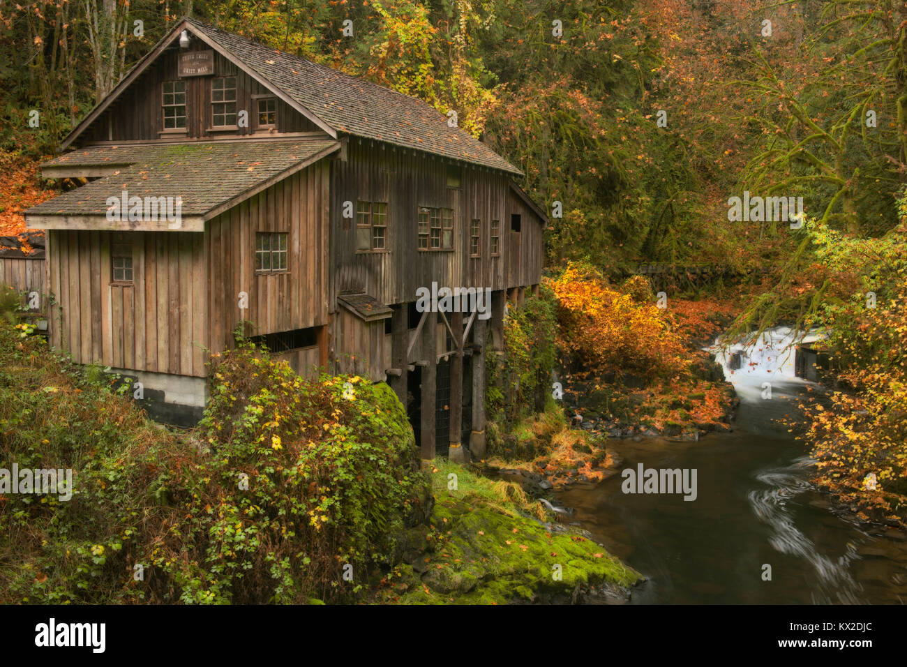 Cedar Creek rushes through a narrow gorge and autumn colors around the Historic Cedar Creek Grist Mill (1876) in Washington’s Clark County. Stock Photo