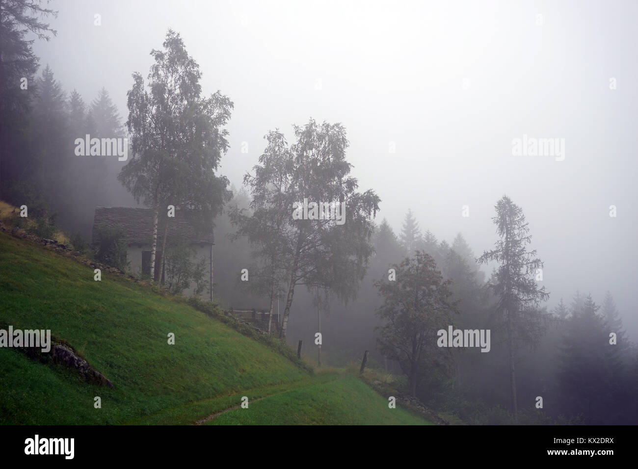 Farm house on the slope and mist in Swiss Alps, Switzerland Stock Photo