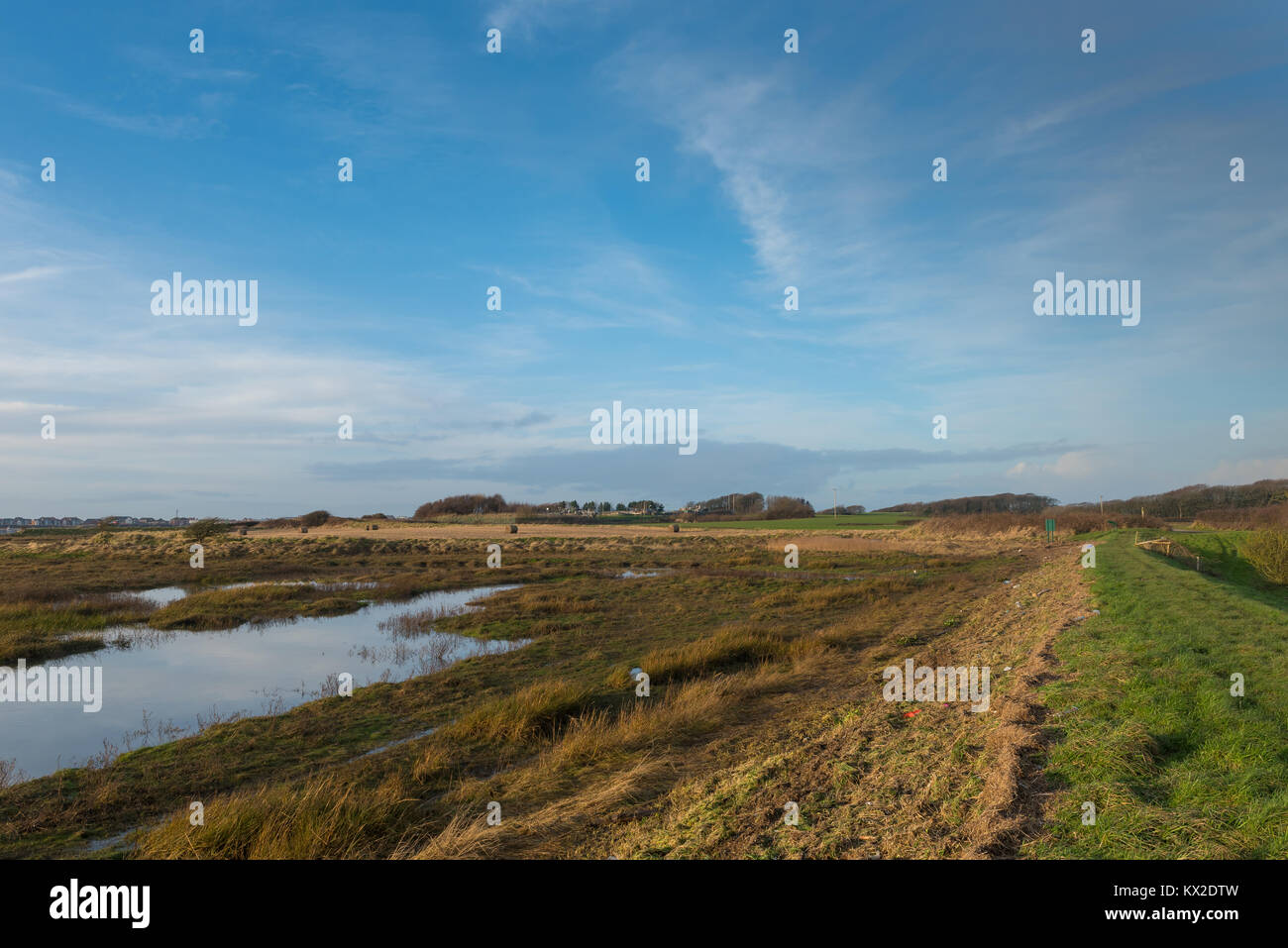 Burrows Marsh and The Wyre way Stock Photo