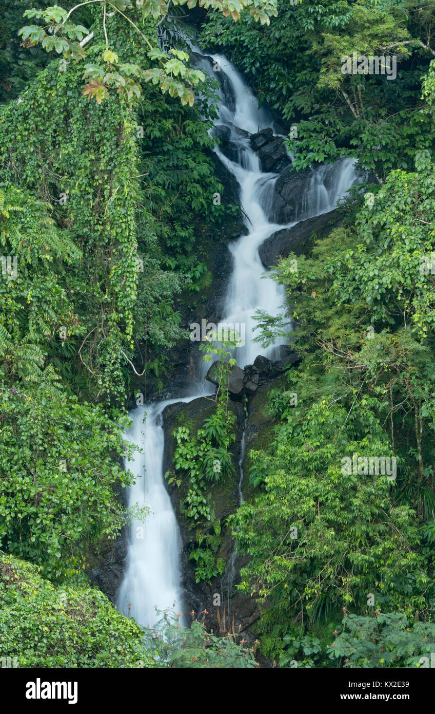Rainforest waterfall, Blue and John Crow Mountains National Park, Jamaica Stock Photo