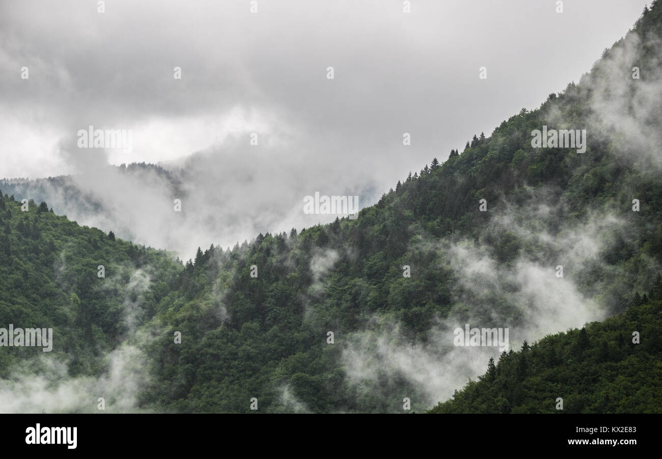 clouds hanging on a mountain forest Stock Photo