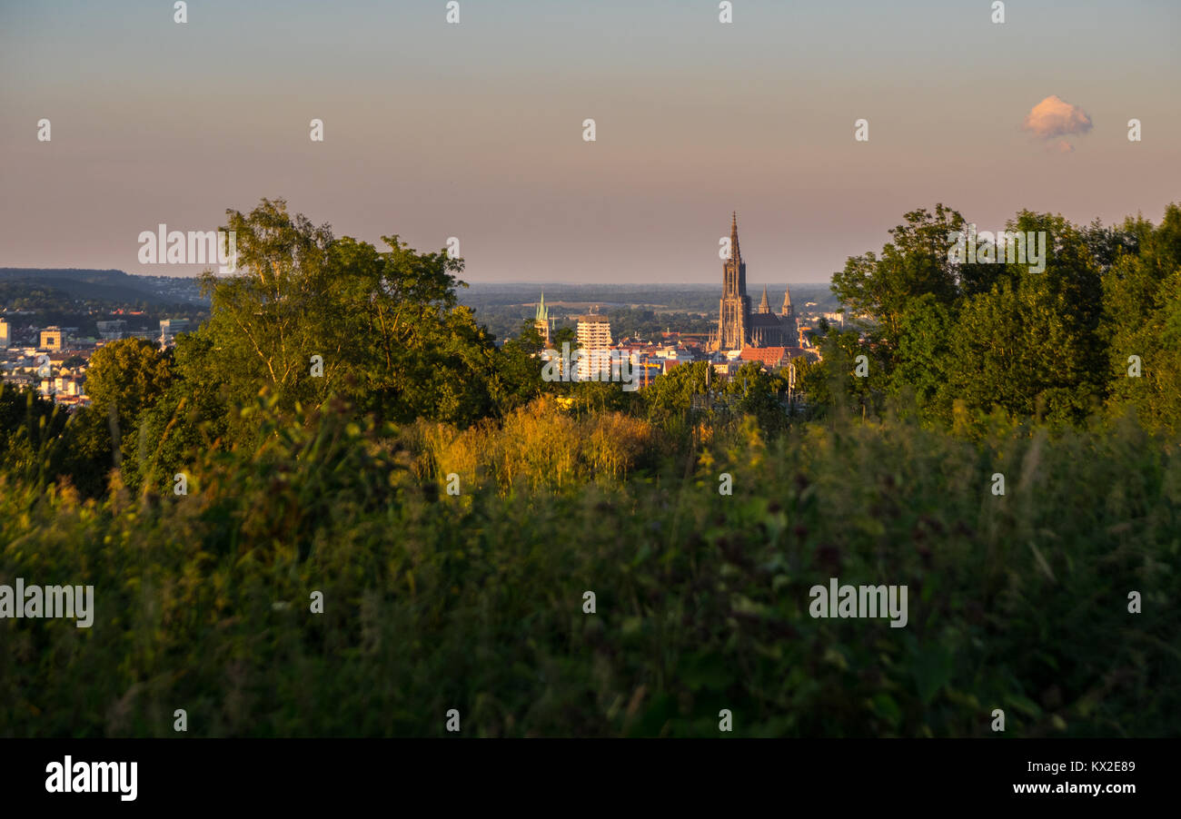 view on the ulm minster from kuhberg Stock Photo