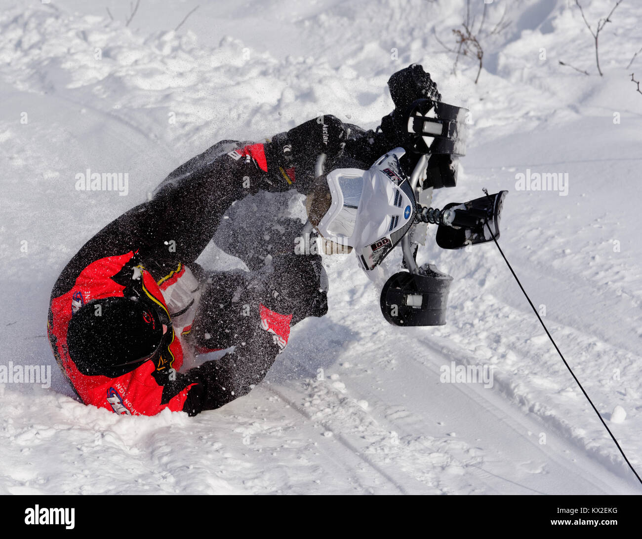An adult man crashes his sledge Stock Photo