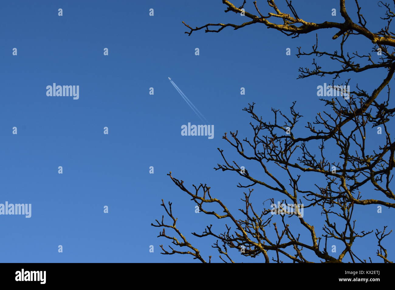 Blue sky with airplane hi-res stock photography and images - Alamy