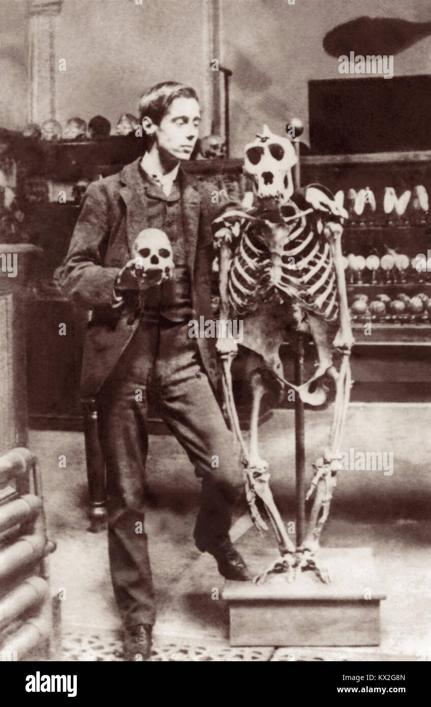 Young H.G. Wells (1866-1946) posing with skull and gorilla skeleton. Photo circa mid 1880s, likely while studying biology at the Normal School of Science (later the Royal College of Science in South Kensington) in London under Thomas Henry Huxley. Stock Photo