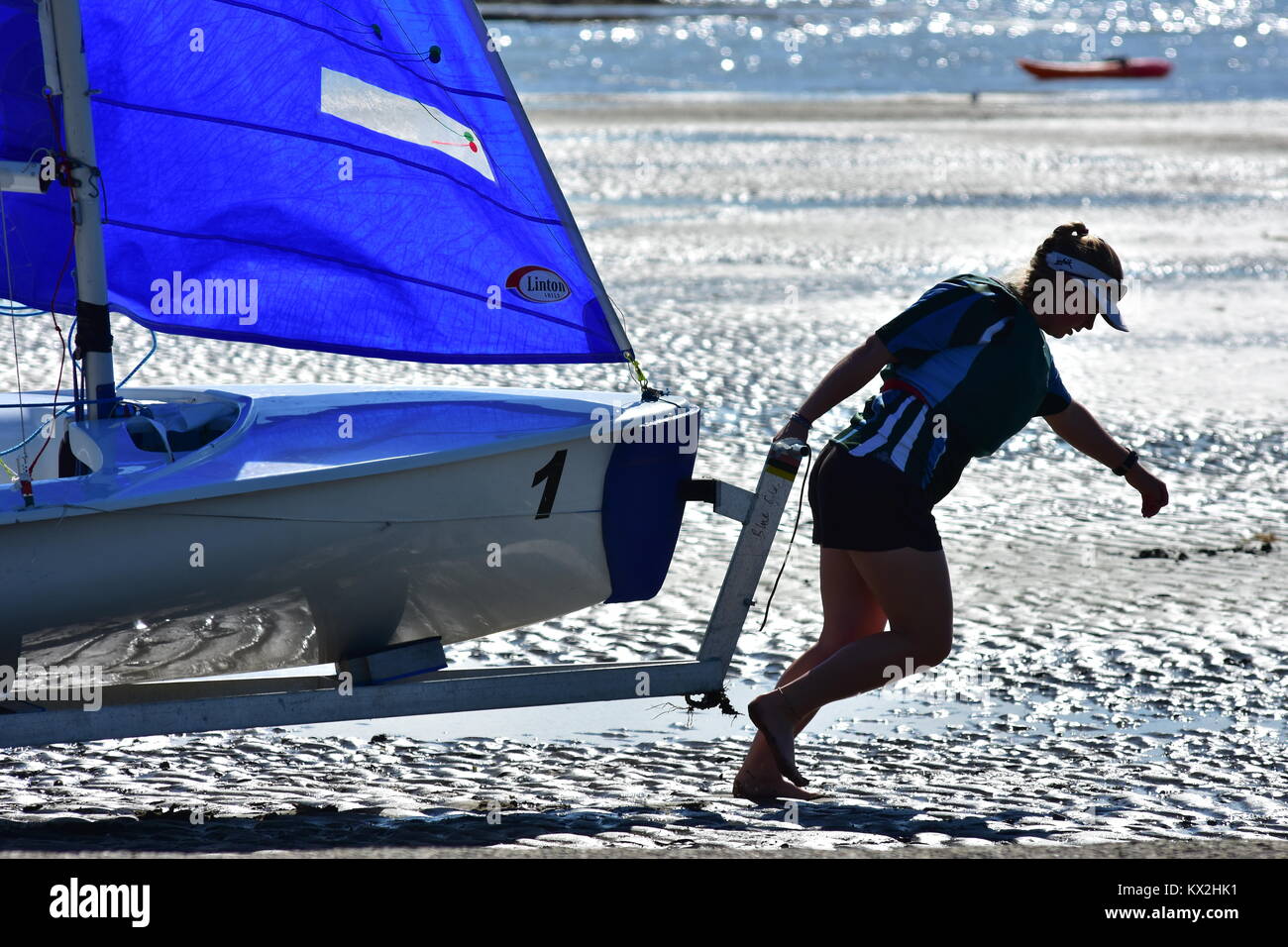 Towing racing sailing dinghy with blue sail on sandy beach to get ready